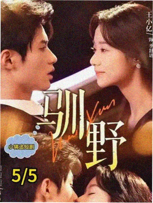 父母爱情 高分剧